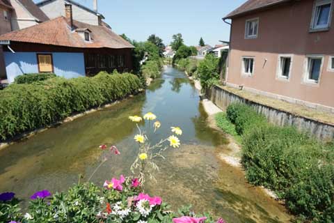 viyane-photo