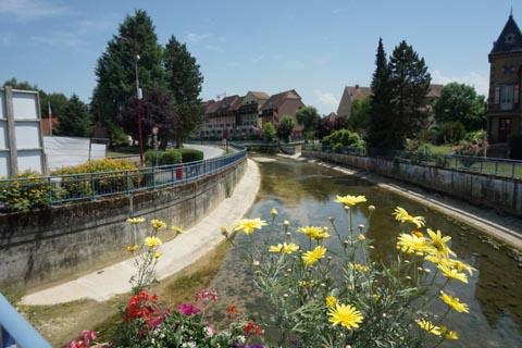 viyane-photo
